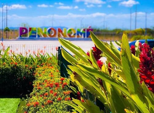 194137365 2968739130064008 5074941595579620385 n